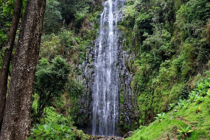 1 Day Tour to Materuni Waterfalls and Coffee Tour - Coffee country before the waterfall