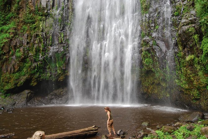 1 Day Tour to Materuni Waterfalls and Coffee Tour - Should you book Materuni Waterfall and Coffee Tour?