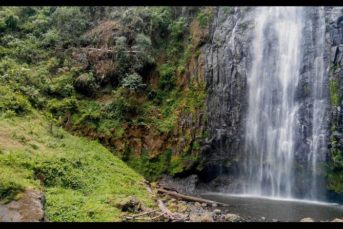 1 Day Tour to Materuni Waterfalls and Coffee Tour - Walking through the Chagga shamba