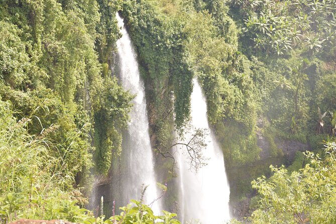2 Days Sipi Falls Hike and Coffee Tour - Day one: the road east and an evening coffee tour