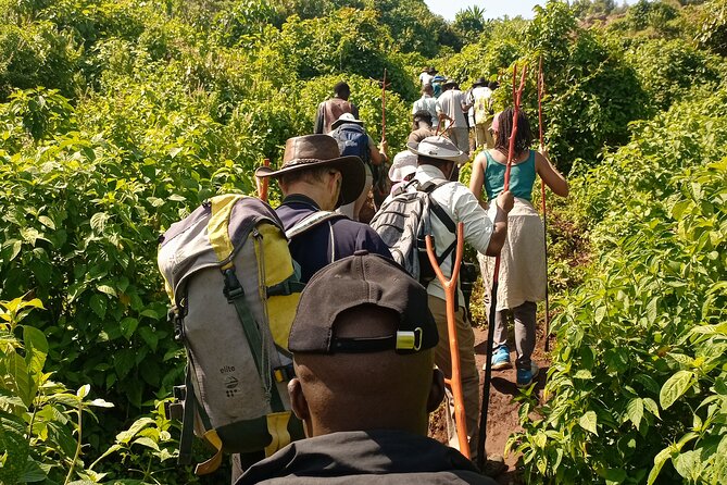 2 Days Sipi Falls Hike and Coffee Tour - Who will enjoy this trip most