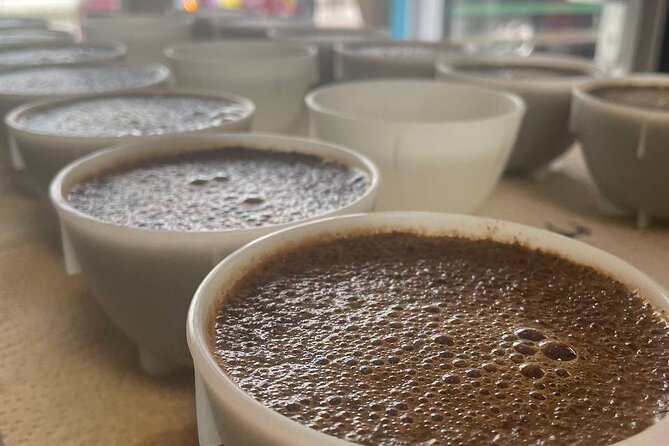 2-Hour Specialty Coffee tasting in Ljubljana - Key points at a glance