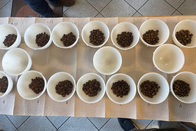 2-Hour Specialty Coffee tasting in Ljubljana - Comparing coffees instead of simply drinking them