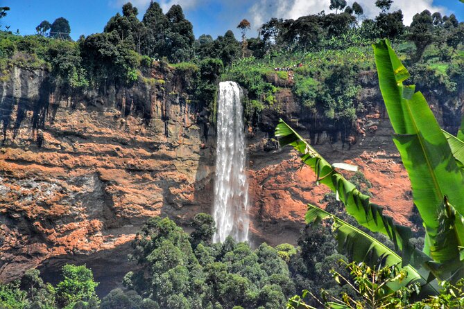 2 Sipi Falls hike and Coffee Tour Experience - The coffee tour, from hillside plants to a fresh cup