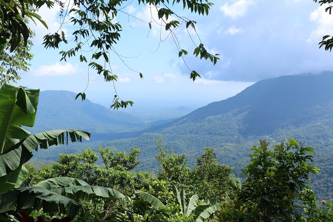 3 Levels of Huatulco the coffee you've been looking for - Cafe Plurmet and the tasting stop