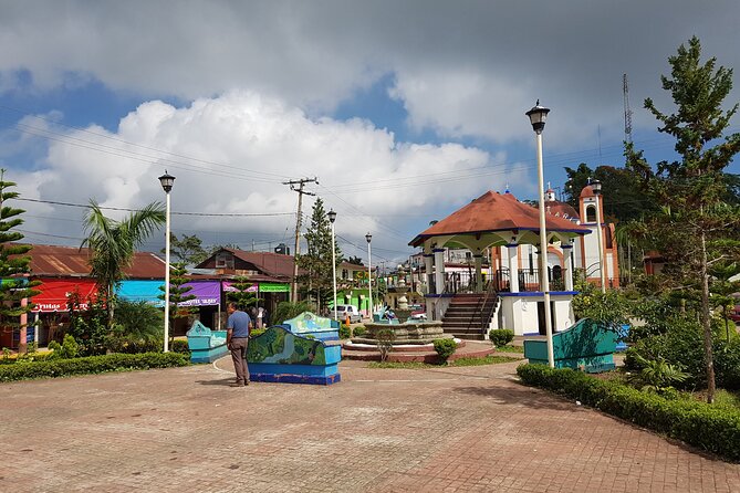 3 Levels of Huatulco the coffee you've been looking for - Is $80 a fair price?