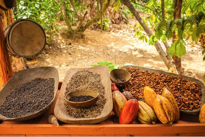 4x4 Dominican Adventure with Chocolate and Coffee Tasting - From Punta Cana resorts to the Rancho Quad Bike office