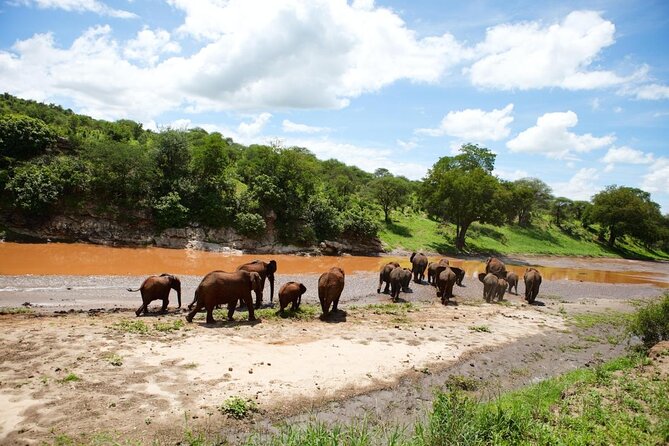 6 Days Serengeti Safari(hiking waterfalls &coffee tour) - Key points at a glance