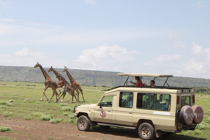 6 Days Serengeti Safari(hiking waterfalls &coffee tour) - Four parks, one waterfall, and a lot of road time