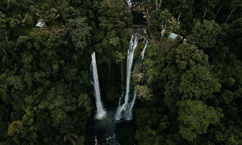 7 Hiden waterfalls and Luwak Coffee Visit - The luwak coffee stop, explained plainly