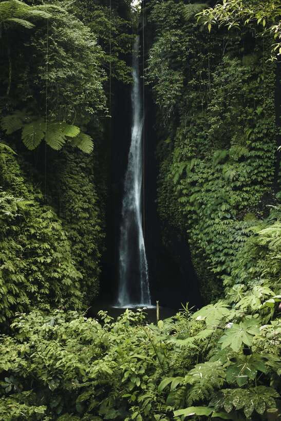 7 Hiden waterfalls and Luwak Coffee Visit - Guides, language, and the personal touch