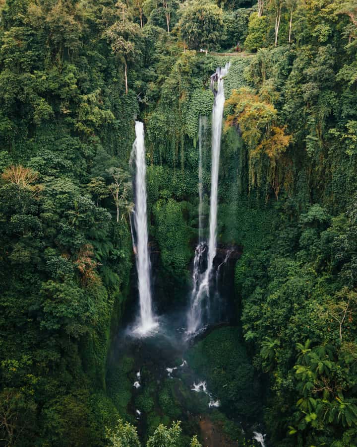 7 Hiden waterfalls and Luwak Coffee Visit - The three-hour route to the twin waterfall