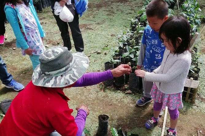 A taste of Aquiares - 2 hours Coffee Tour - Following the beans through the beneficio