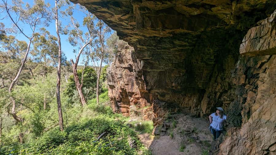Adelaide Hills: E-Bike Self-Guided Tour with Coffee and Cake - Should you book the Goat Shed e-bike tour?