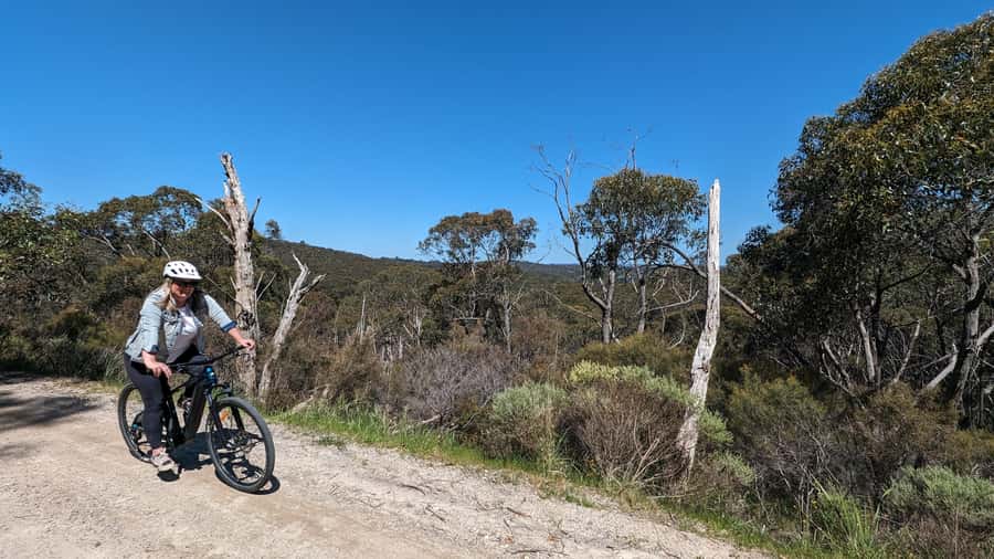 Adelaide Hills: E-Bike Self-Guided Tour with Coffee and Cake - Following the GPS instead of a tour leader