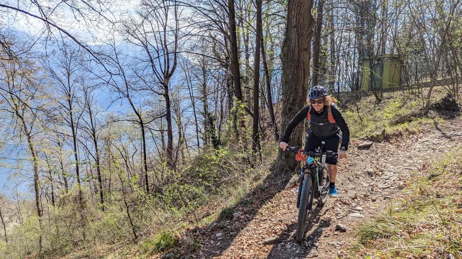Adelaide Hills: E-Bike Self-Guided Tour with Coffee and Cake - Belair National Park and the wildlife search