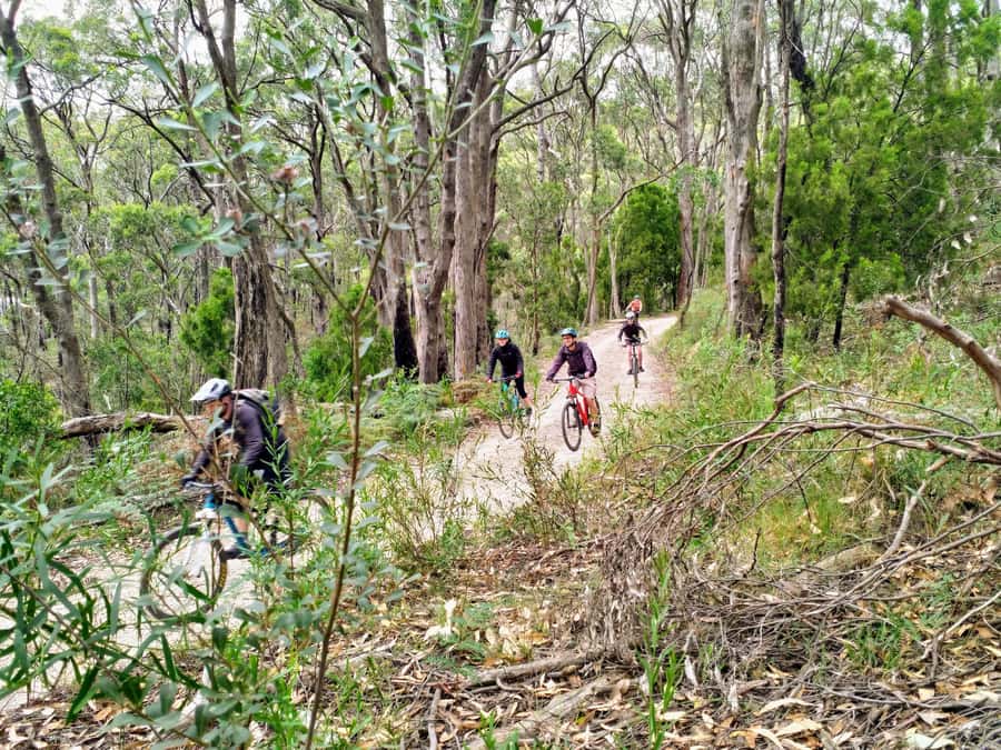 Adelaide Hills: E-Bike Self-Guided Tour with Coffee and Cake - Who should book this Adelaide Hills ride