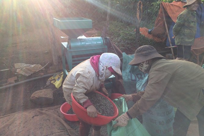 Amazing Coffee full-day tour in Buon Ma Thuot - Daklak - What guide Do adds to the day