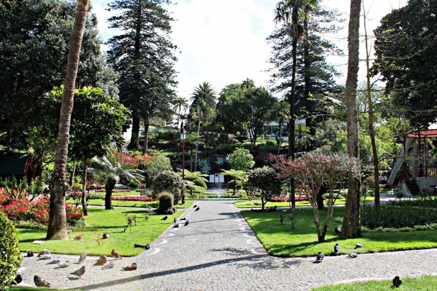 Angra do Heroísmo: Walking Tour with Local Pastry and Coffee - The guides make the difference