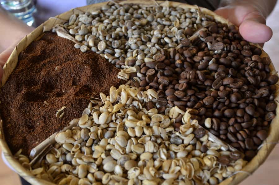 Antigua ATV Coffee tour - Should you book the Antigua ATV Coffee Tour?