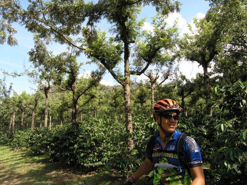 Antigua Sip 'n Cycle Half-Day Bike Ride and Coffee Tour - Timing, clothing, and practical planning