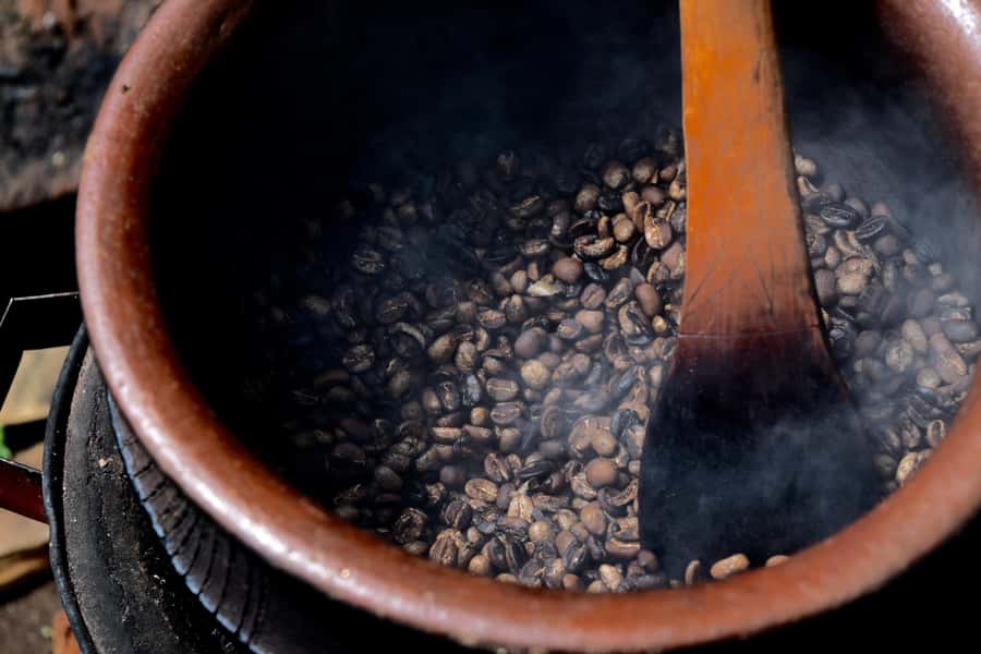 Arusha: Coffee Tour - Lunch, a village visit, and local context