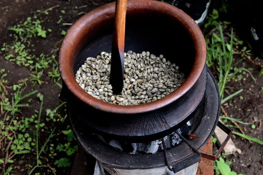 Arusha: Coffee Tour - Guides, transport, and the feel of the service