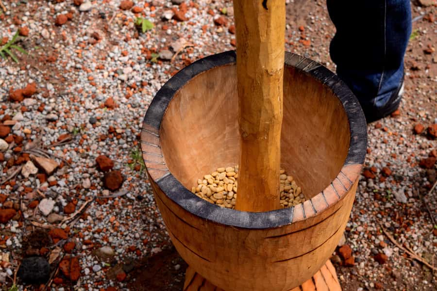 Arusha: Coffee Tour - What the $55 price really covers