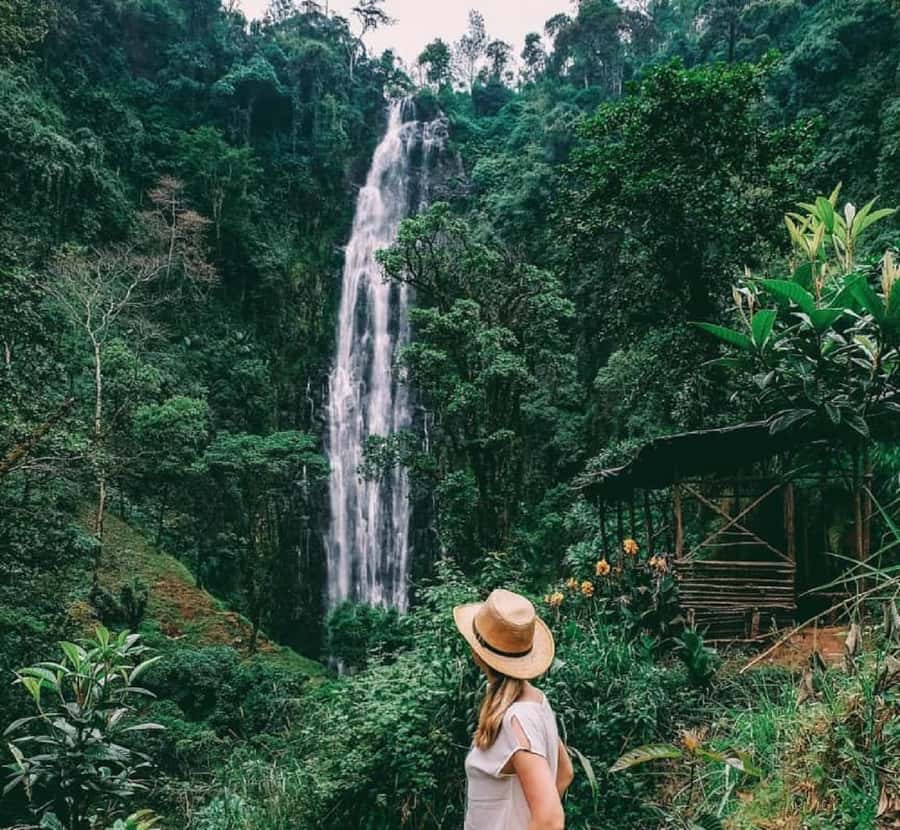 Arusha: Materuni Waterfalls, Coffee, and Hotsprings Tour - A full day built around three very different stops