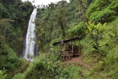 Materuni Waterfalls, Coffee, and Hotsprings Tour