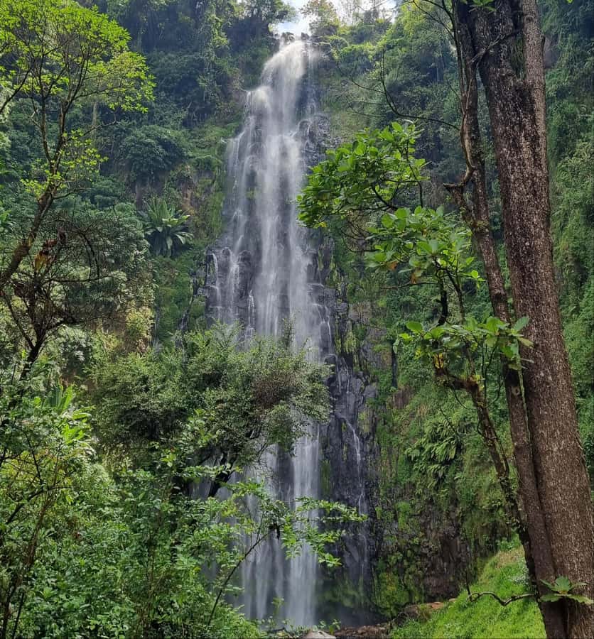 Arusha: Materuni Waterfalls, Hot Springs and/or Coffee Tour - Why This Day Works as a Kilimanjaro Area Introduction