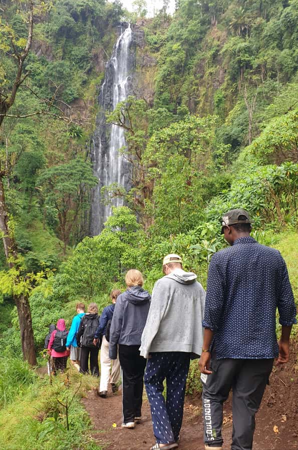 Arusha: Materuni Waterfalls, Hot Springs and/or Coffee Tour - Tanzanian Lunch After the Morning Walk