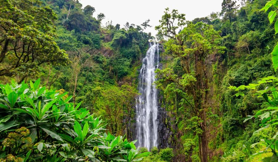 Arusha: Materuni Waterfalls, Hot Springs and/or Coffee Tour - Guides, Driving, and the Feel of the Day