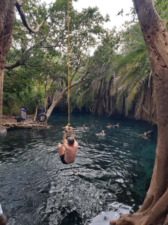 Arusha: Materuni Waterfalls, Hot Springs and/or Coffee Tour - Who Will Enjoy This Best