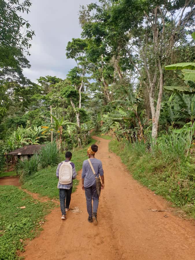 Arusha: Materuni Waterfalls, Hot Springs and/or Coffee Tour - Practical Details Before You Book