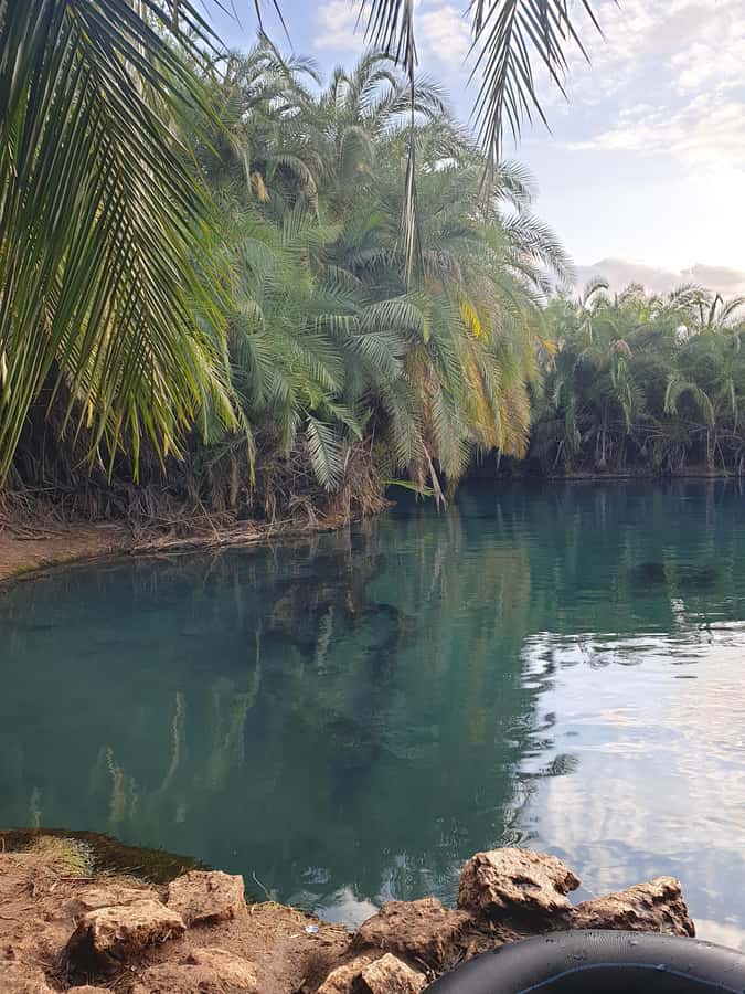 Arusha: Materuni Waterfalls, Hot Springs and/or Coffee Tour - Should You Book the Materuni and Chemka Day?