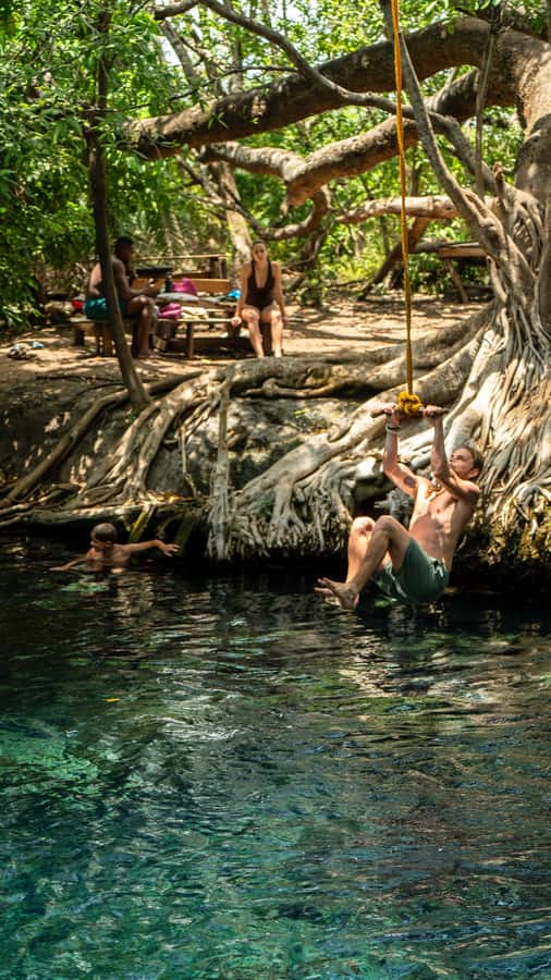 Arusha or Moshi : Hot Spring, Waterfall & Coffee Farm Tour - What the $53 price really covers