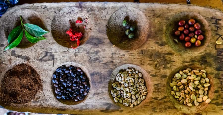 Arusha: Traditional Coffee Preparation(coffee tour) - Key points at a glance