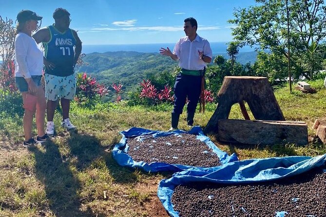 ATV Waterfall & Organic Coffee Farm with Lunch - Timing, meeting point, and weather plans