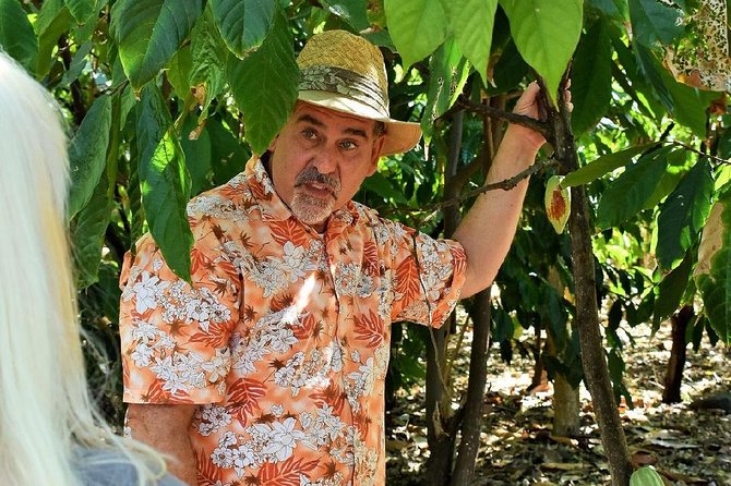 Award Winning Farm Tour: Coffee, Chocolate and Unique Gifts - The drive above Kona and the first views