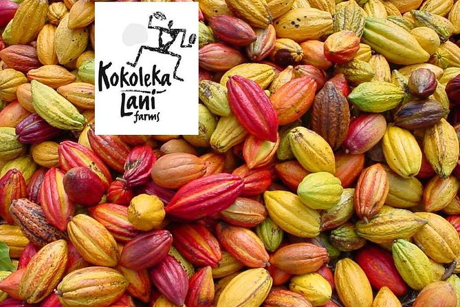 Award Winning Farm Tour: Coffee, Chocolate and Unique Gifts - Three hours, group size, and comfort
