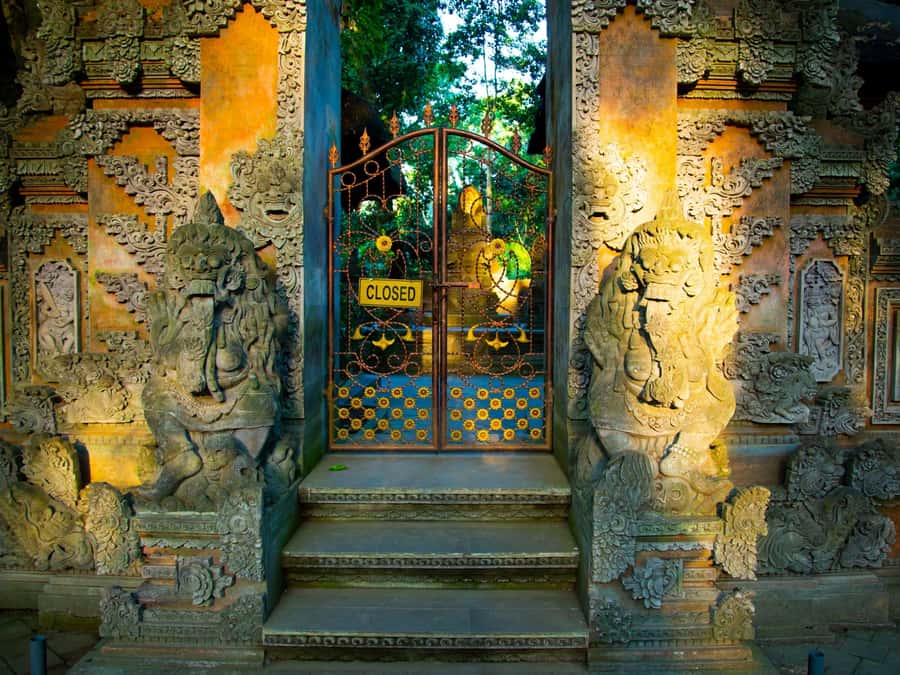 Bali: Jatiluwih Rice Terraces, Sangeh Forest & Coffee Tour - Sangeh’s Monkeys and Sacred Forest Setting