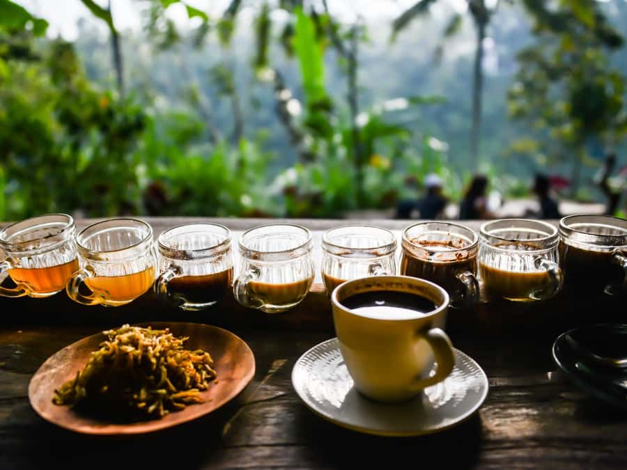Bali: Jatiluwih Rice Terraces, Sangeh Forest & Coffee Tour - Who Will Enjoy This Tour Most