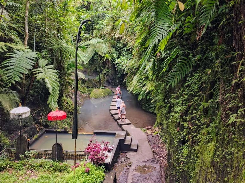 Bali: Kintamani, Tegalalang and Coffee Plantation Tour - The waterfall stop needs one confirmation