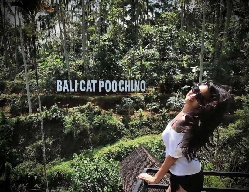 Bali: Ubud Monkey Forest, Coffee Plantation, and Market Tour - A market choice that can change the whole day