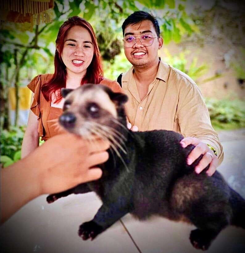 Bali: Ubud Monkey Forest, Coffee Plantation, and Market Tour - Timing, comfort, and who will enjoy it most