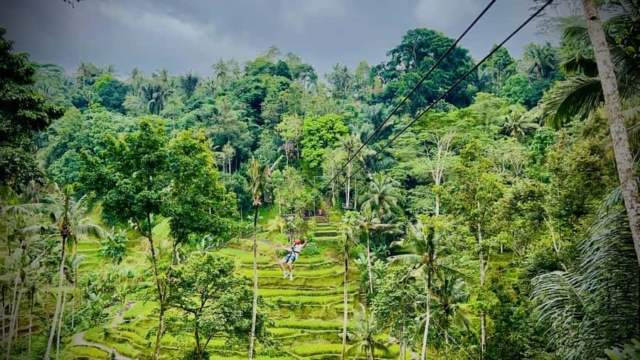 Bali: Ubud Zipline, Goa Raja Waterfall and swing adventure - The Ubud jungle swing and the photo stop