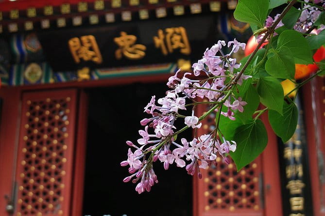 Beijing Hutong Breakfast & Coffee Tour - Huguosi Hutong for classic Beijing sweets