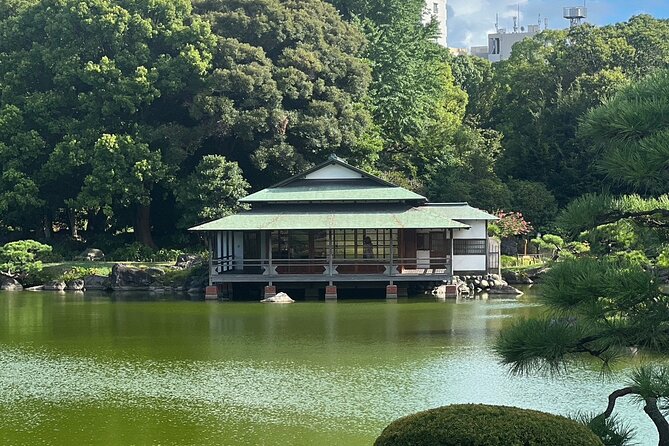 Best of Downtown Tokyo: Nature, Coffee, & Japanese Sweets Tasting - Allpress Espresso and the story of local coffee