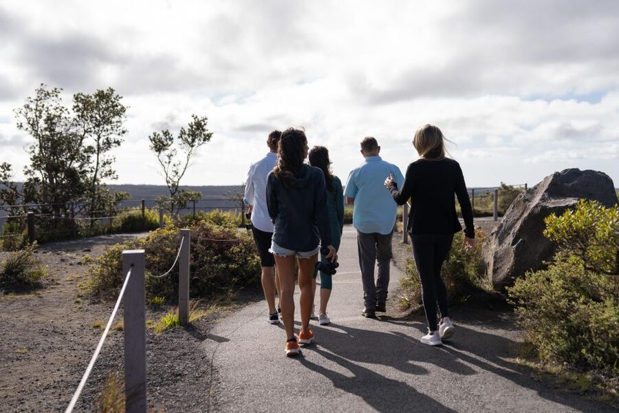 Big Island: Coffee, Black Sand, Volcano and Waterfall Tour - Volcano Winery: lunch with a different local flavor